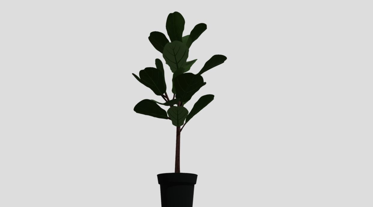 indoor plant 8 Low-poly 3D model_2