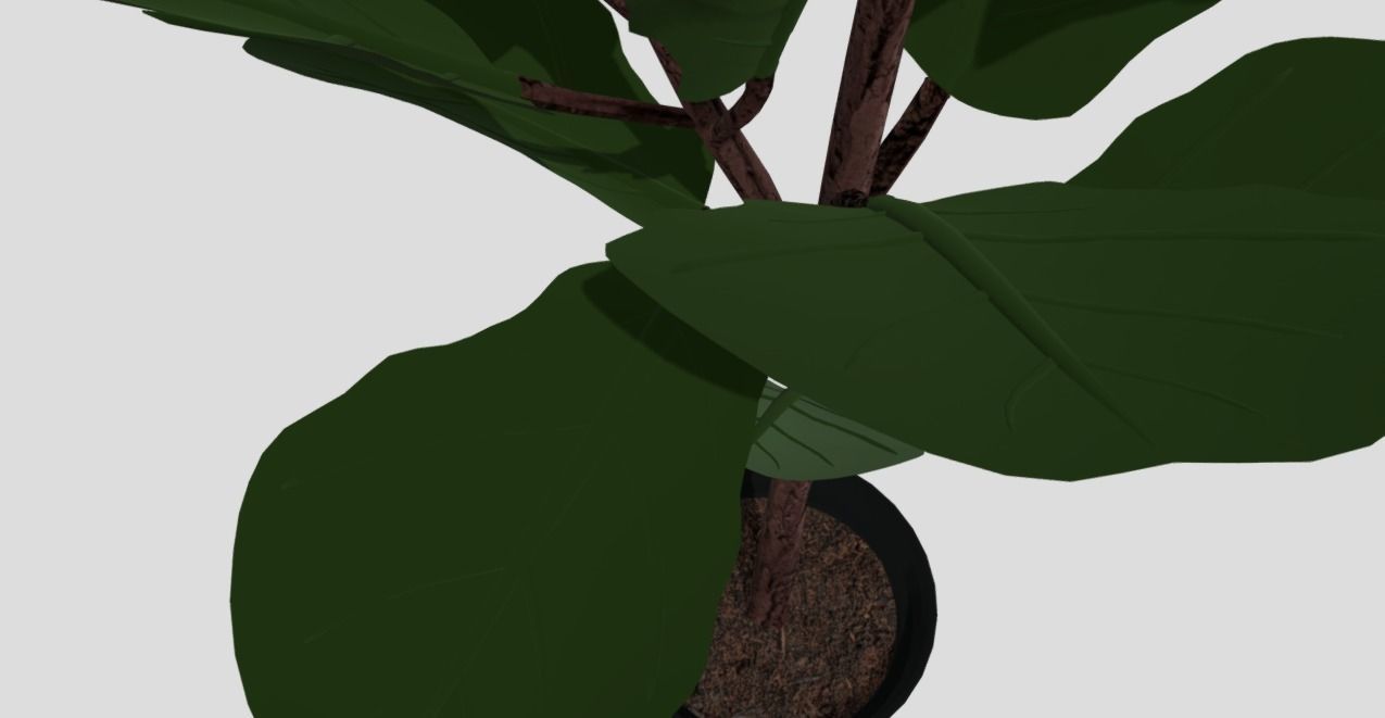 indoor plant 8 Low-poly 3D model_4