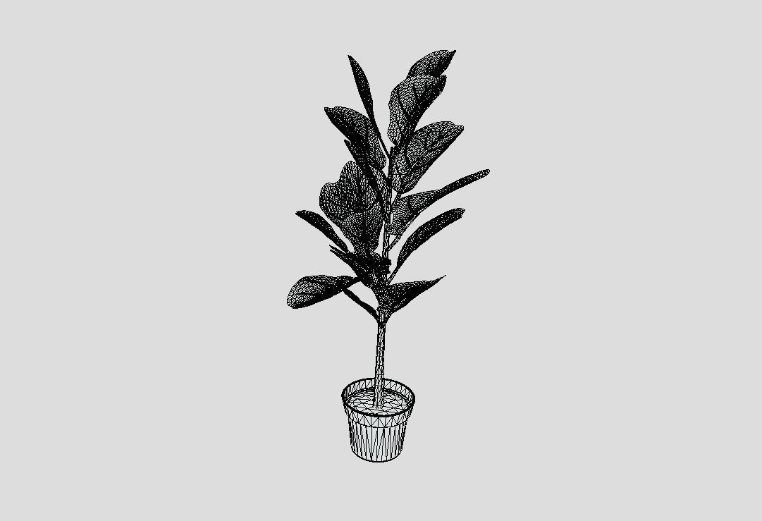 indoor plant 8 Low-poly 3D model_7