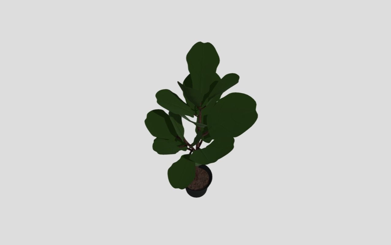 indoor plant 8 Low-poly 3D model_3
