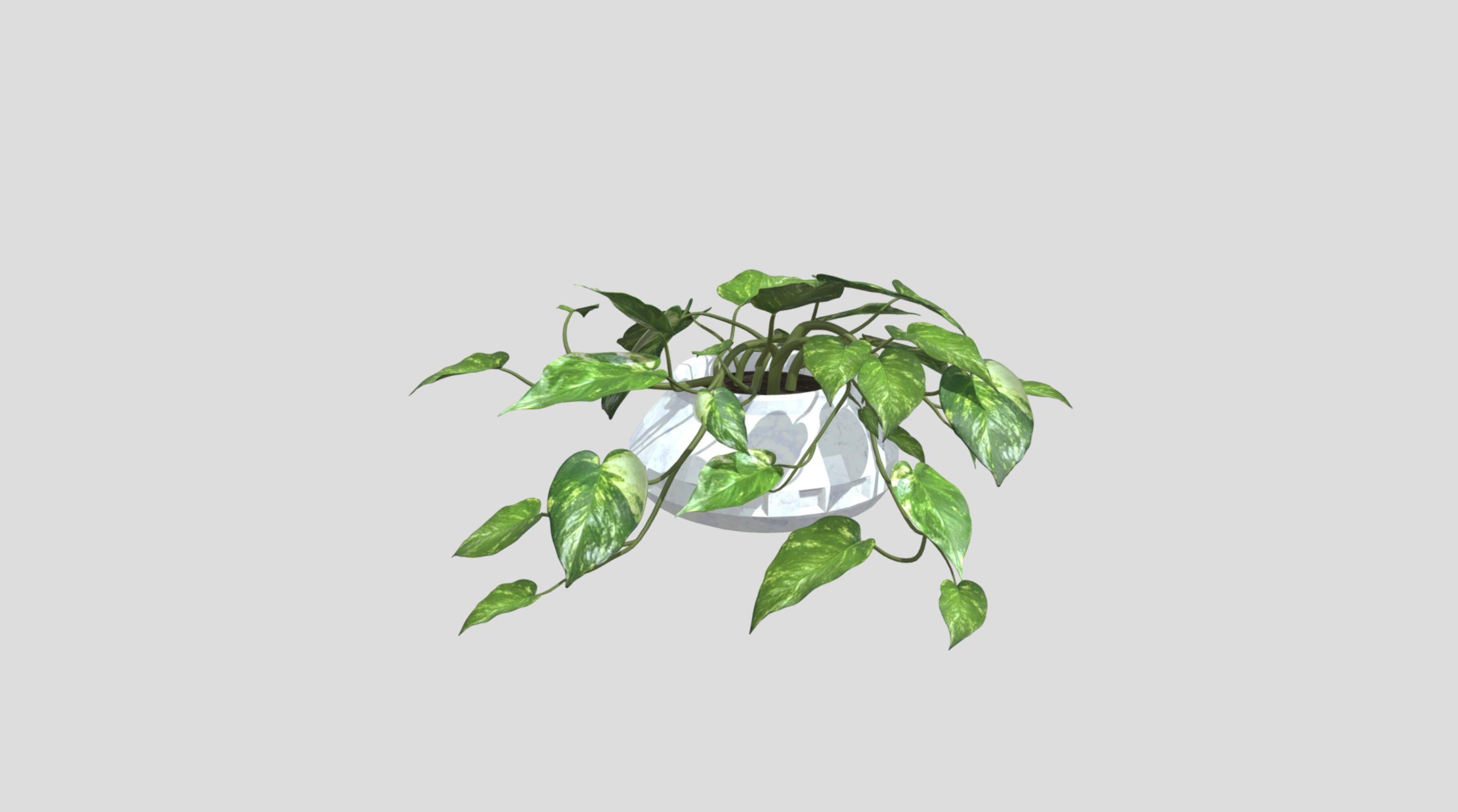 Lush Indoor Decorative Plant 3D model_9