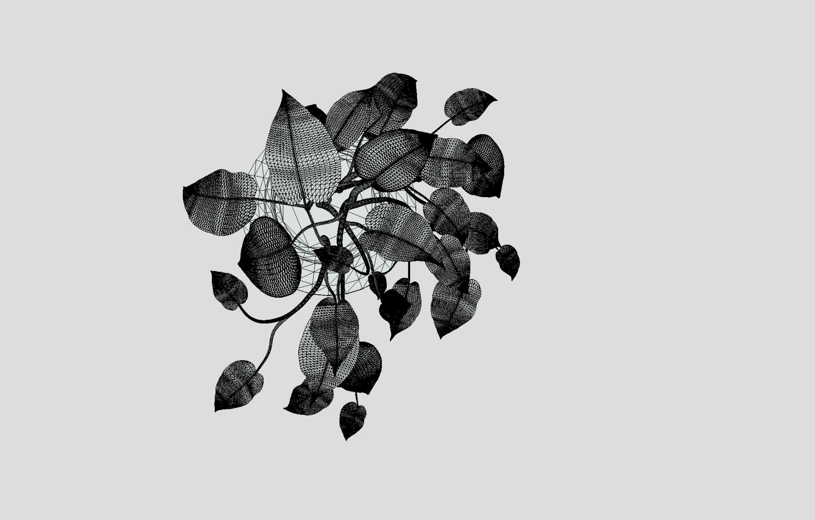 Lush Indoor Decorative Plant 3D model_11