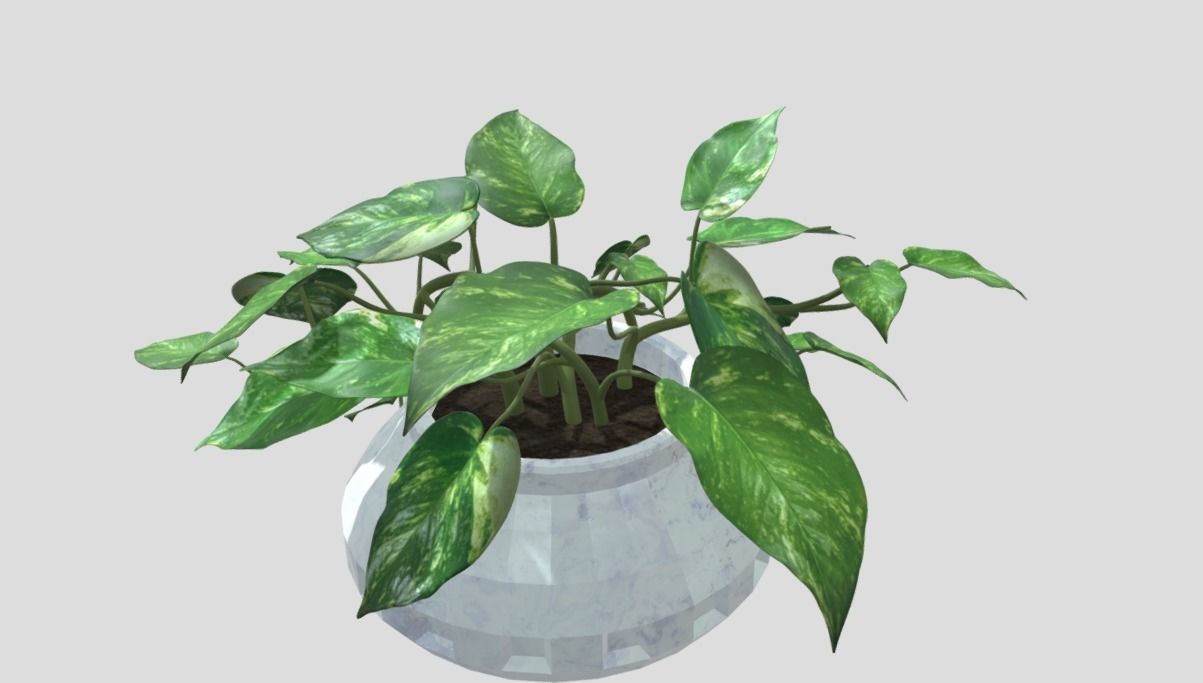 Lush Indoor Decorative Plant 3D model_3
