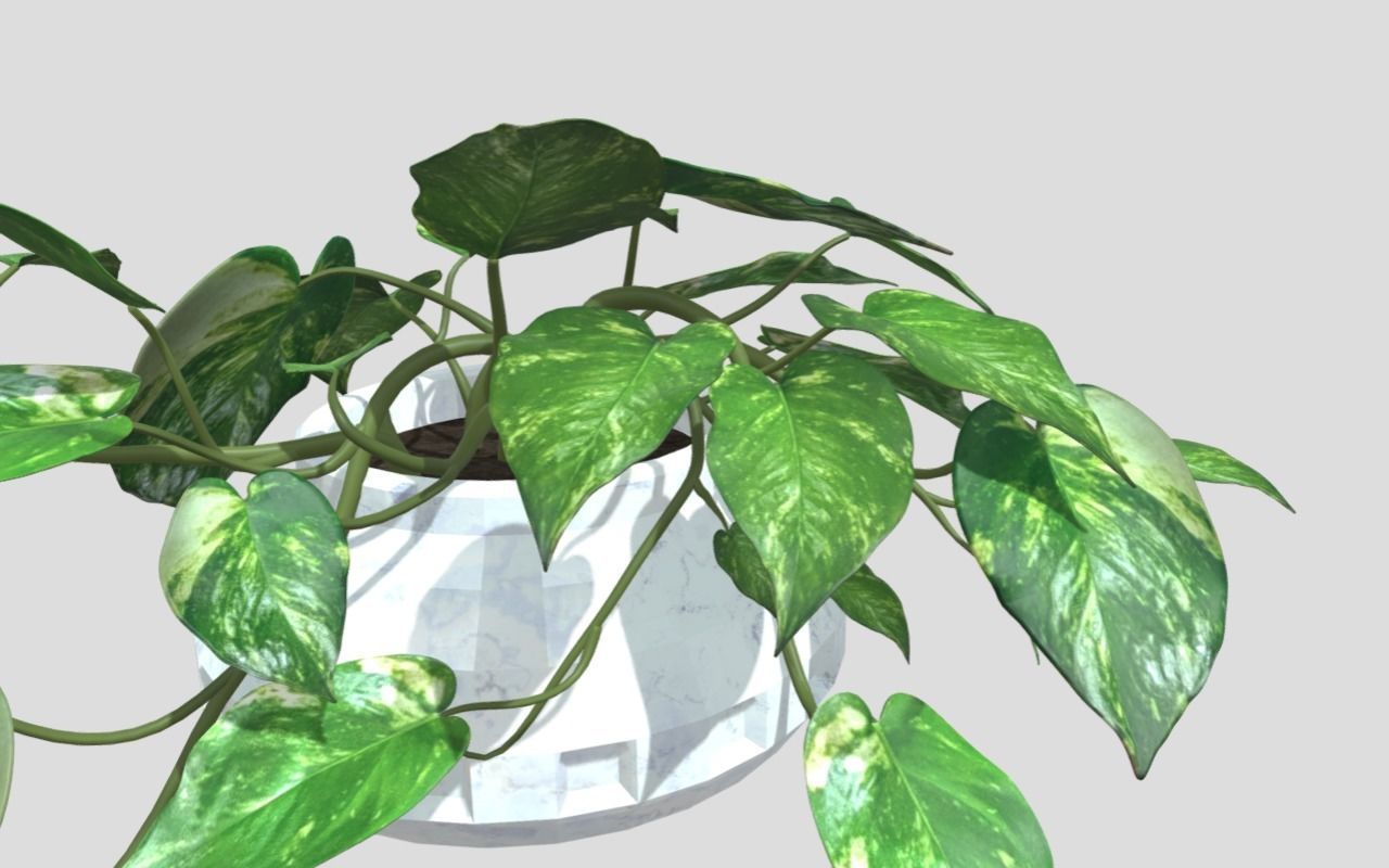 Lush Indoor Decorative Plant 3D model_5