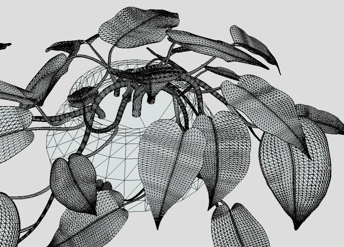 Lush Indoor Decorative Plant 3D model_8