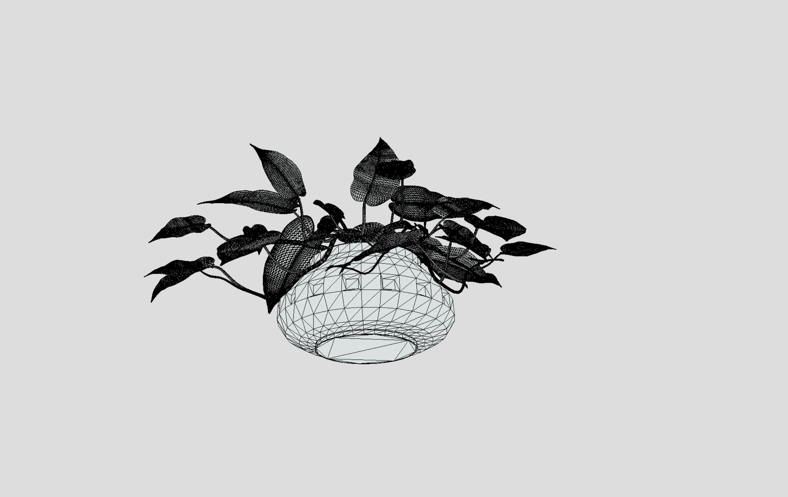 Lush Indoor Decorative Plant 3D model_10