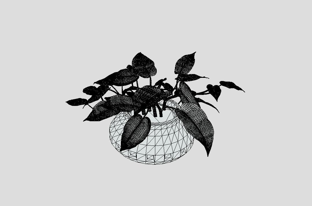 Lush Indoor Decorative Plant 3D model_7