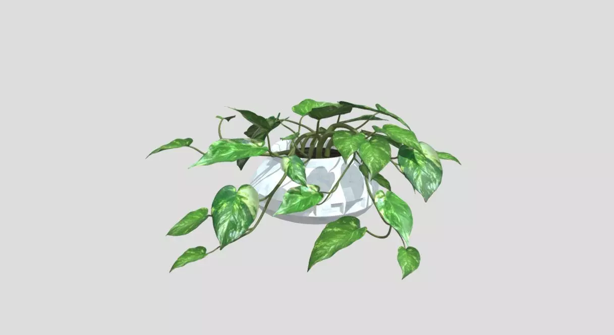 Lush Indoor Decorative Plant 3D model_0