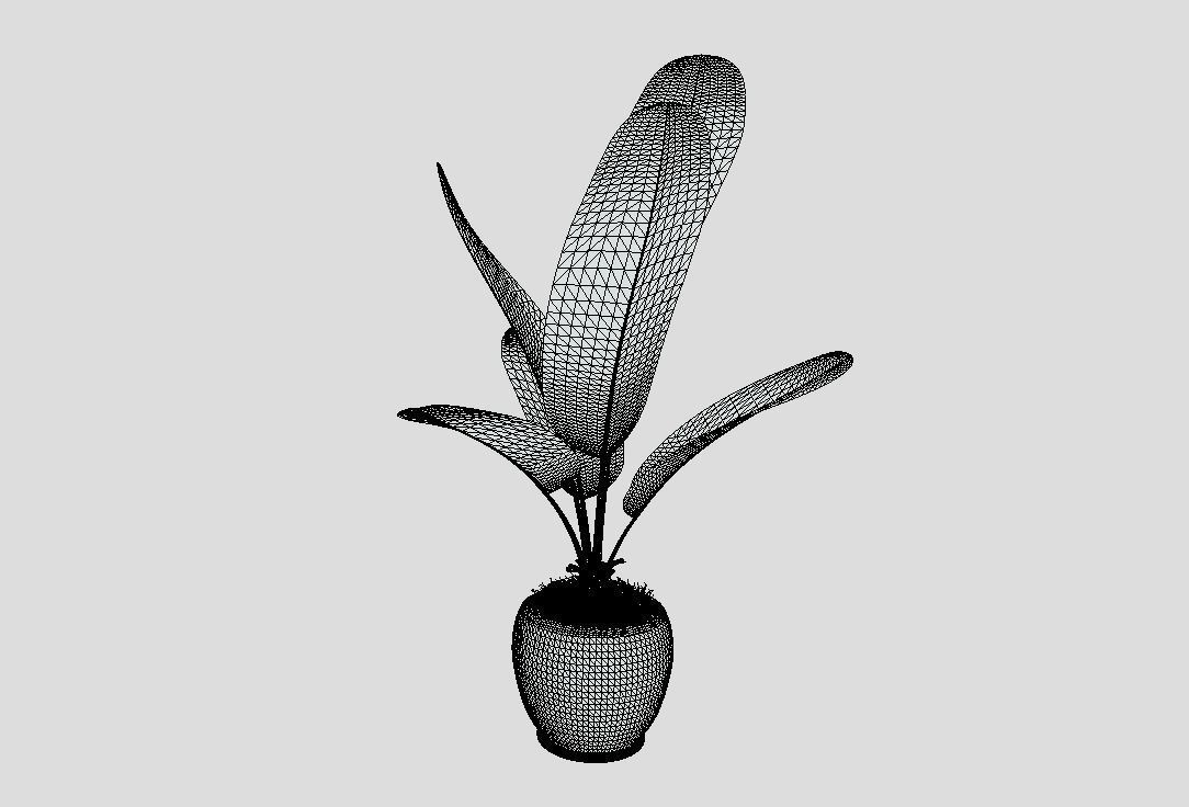 Decoration Plant 3D model_4