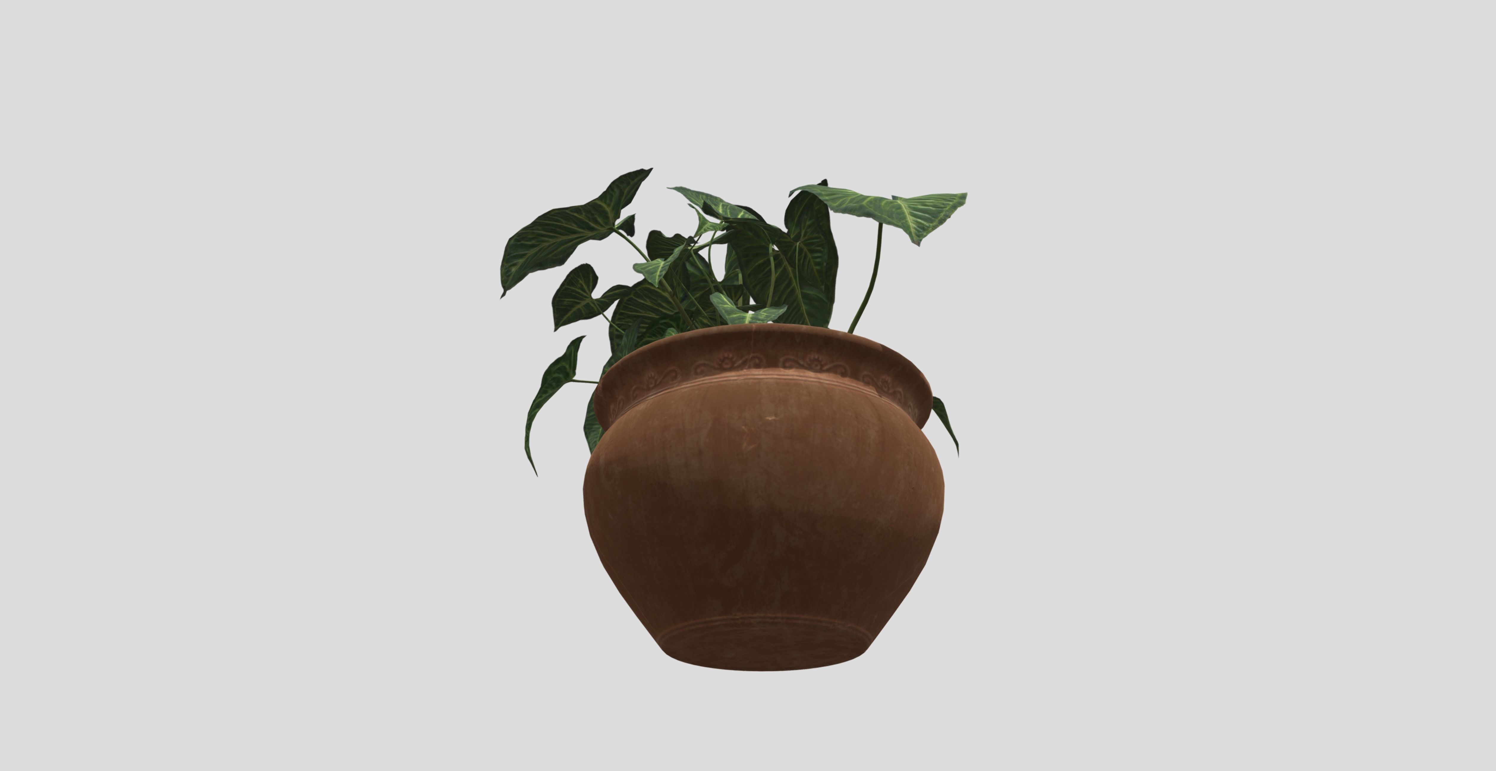 indoor plant 4 Low-poly 3D model_9