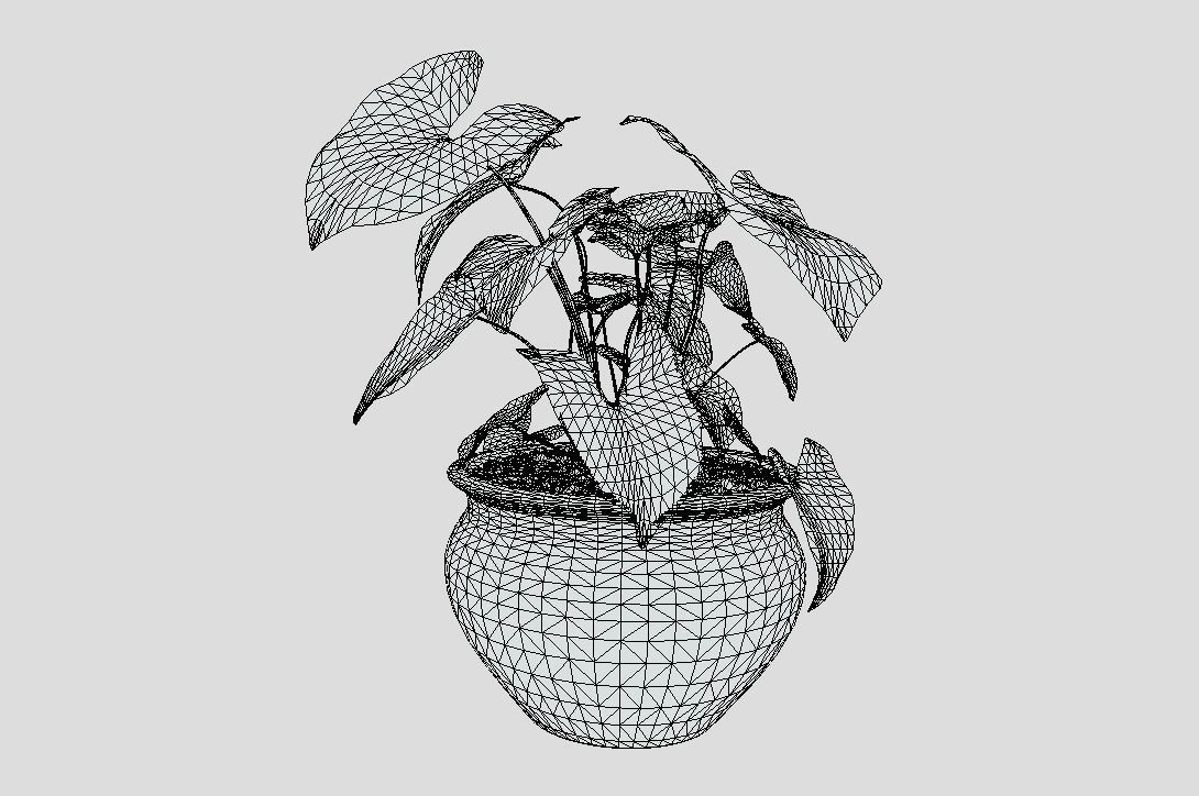 indoor plant 4 Low-poly 3D model_7