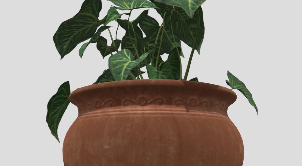 indoor plant 4 Low-poly 3D model_3