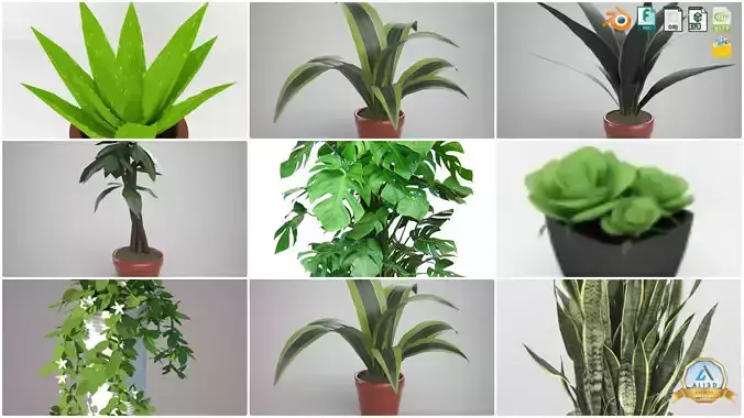 Stylized Low-poly Indoor 20 Plants 