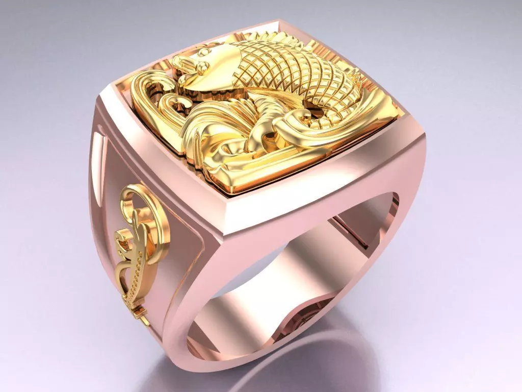 Carp Rings - N1238 3D print model