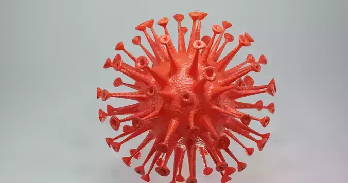 Corona Virus 3D Model