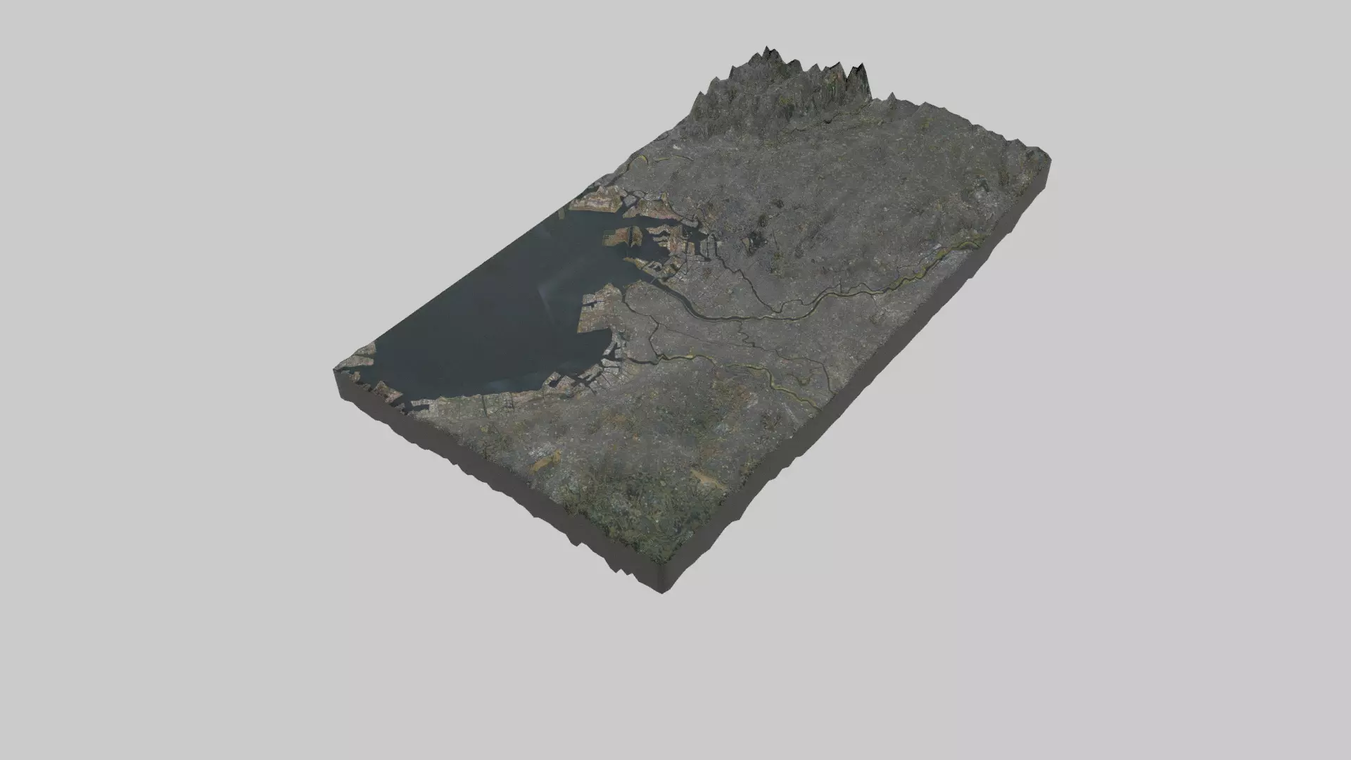 TOKYO City Low-poly 3D model_0