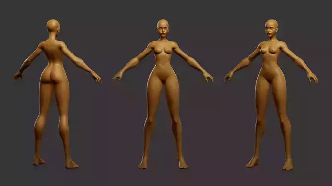 Female Stylized Basemesh 3D model