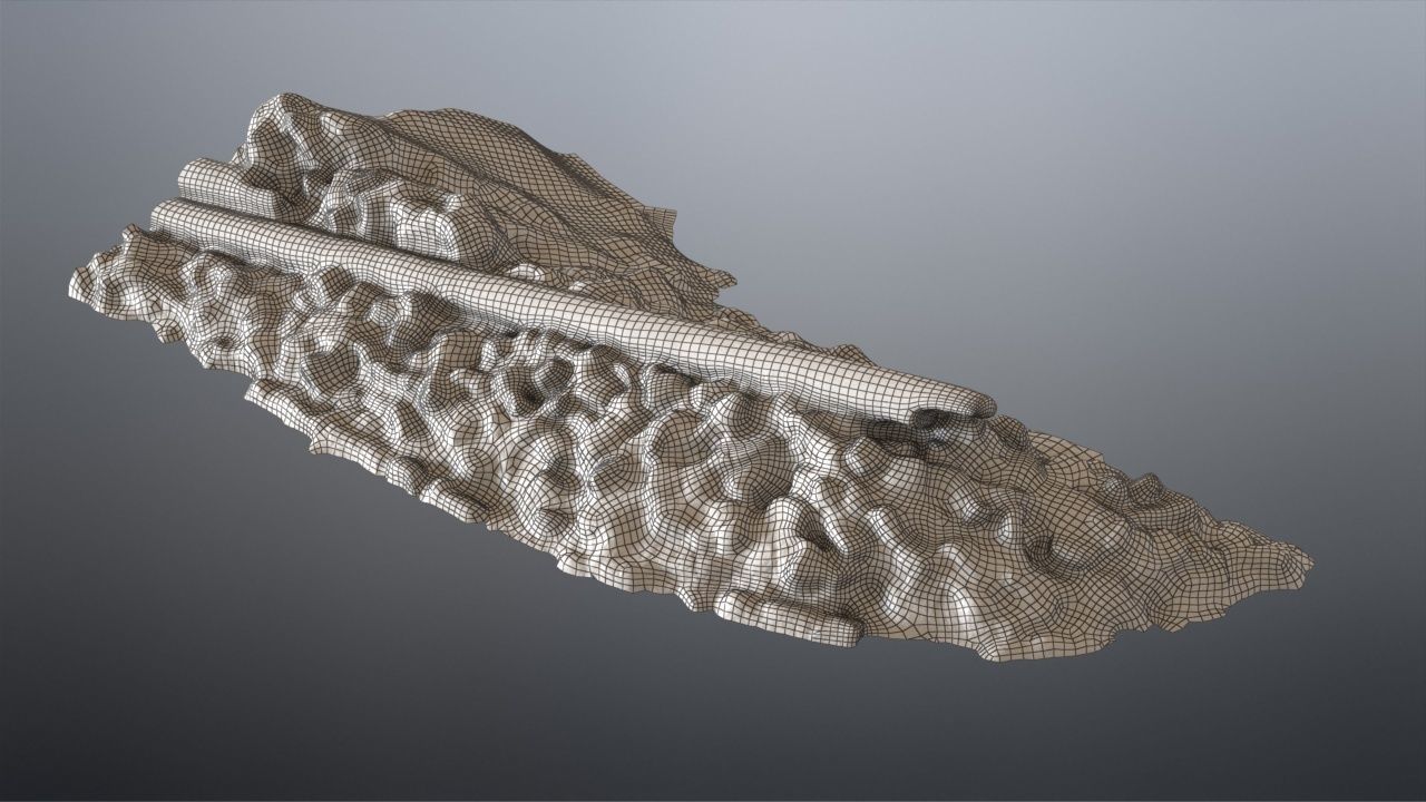 Debris Low-poly 3D model_21