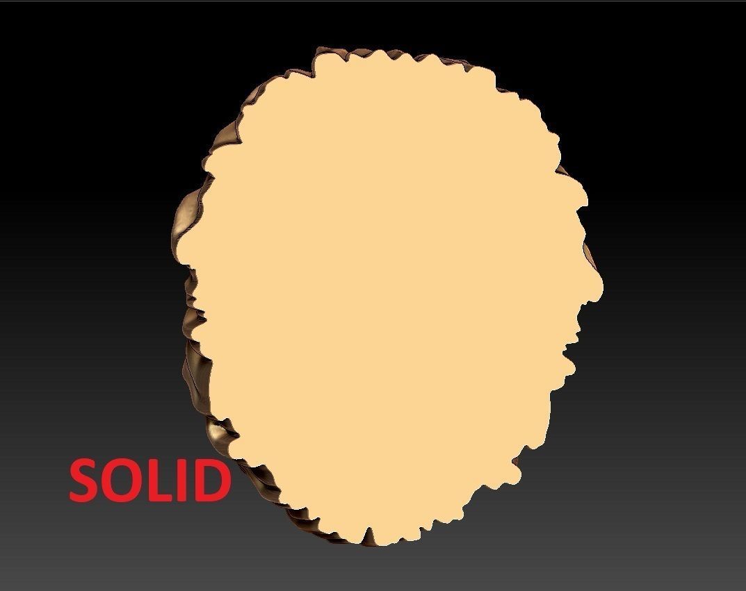 LION PENDENT 3D print model_5