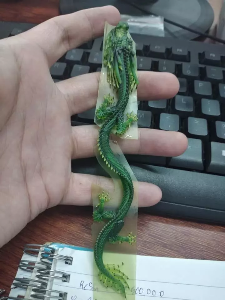 DRAGON 3D print model_0