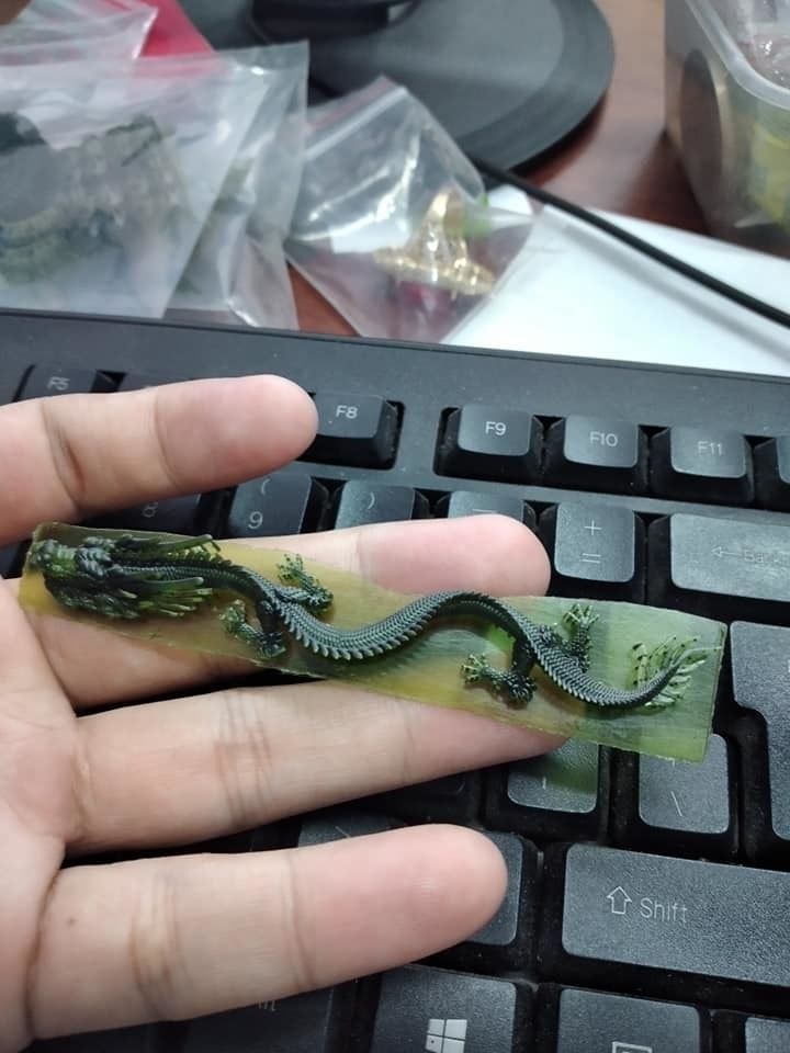 DRAGON 3D print model_1