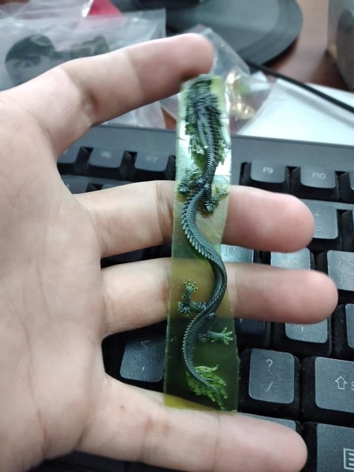 DRAGON 3D print model_2