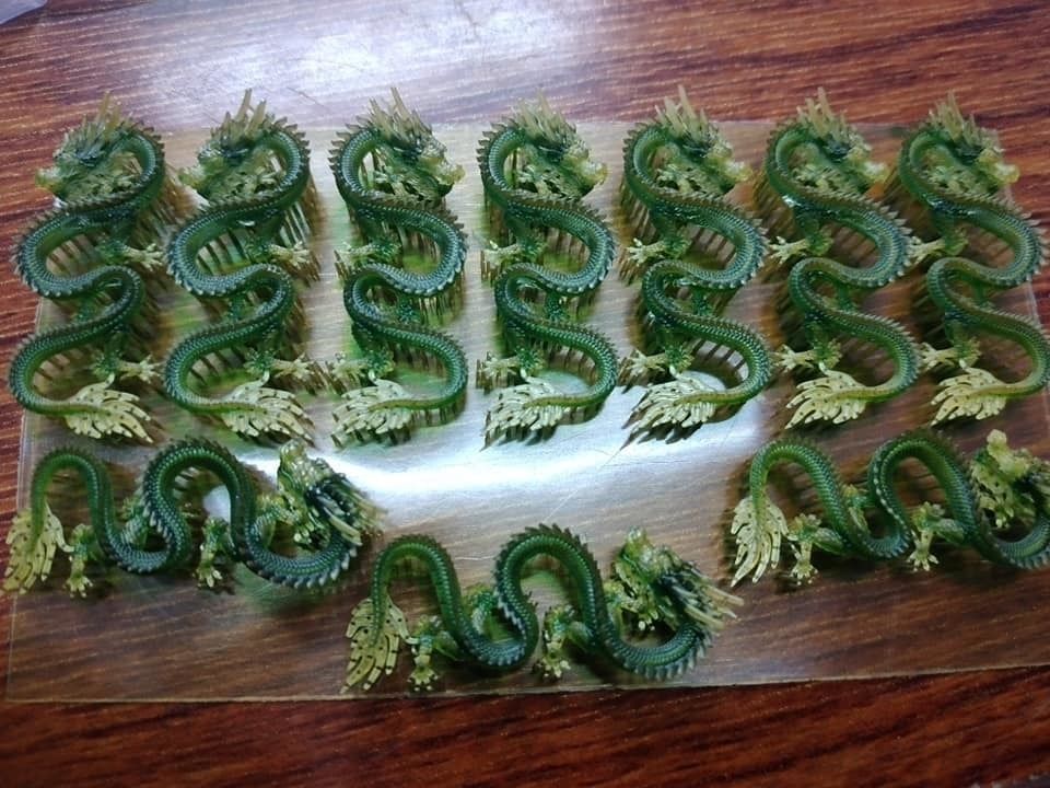 DRAGON 3D print model_1