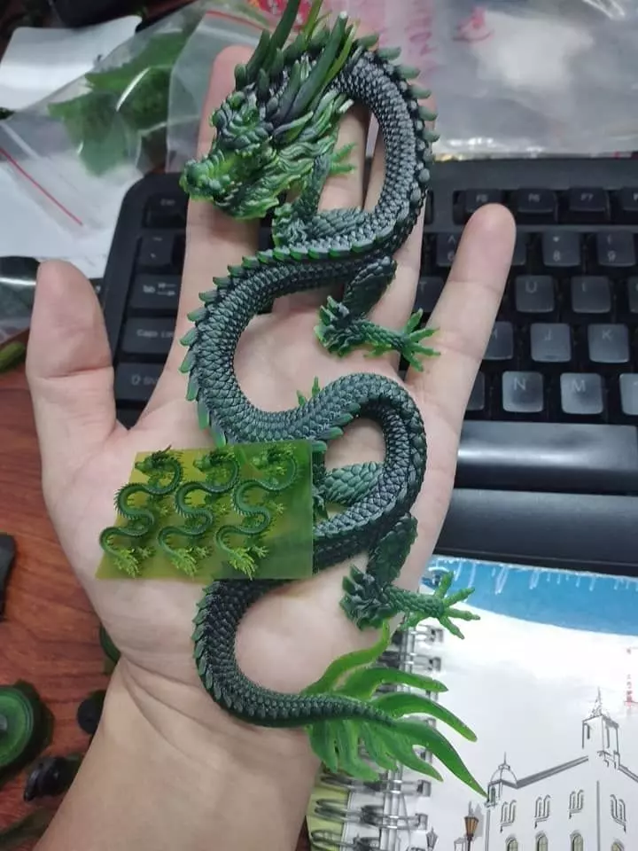 DRAGON 3D print model_0