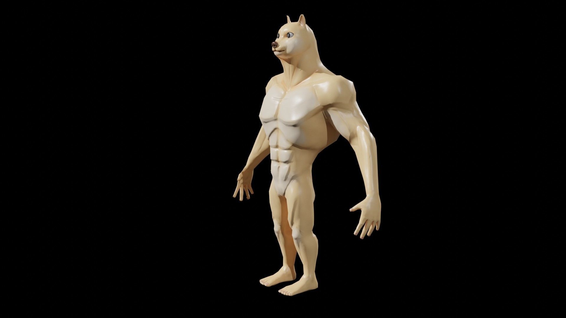 Doge Meme Low-poly 3D model Rigged Low-poly 3D model_10