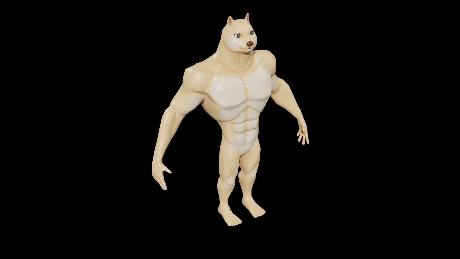 Doge Meme Low-poly 3D model Rigged Low-poly 3D model_6