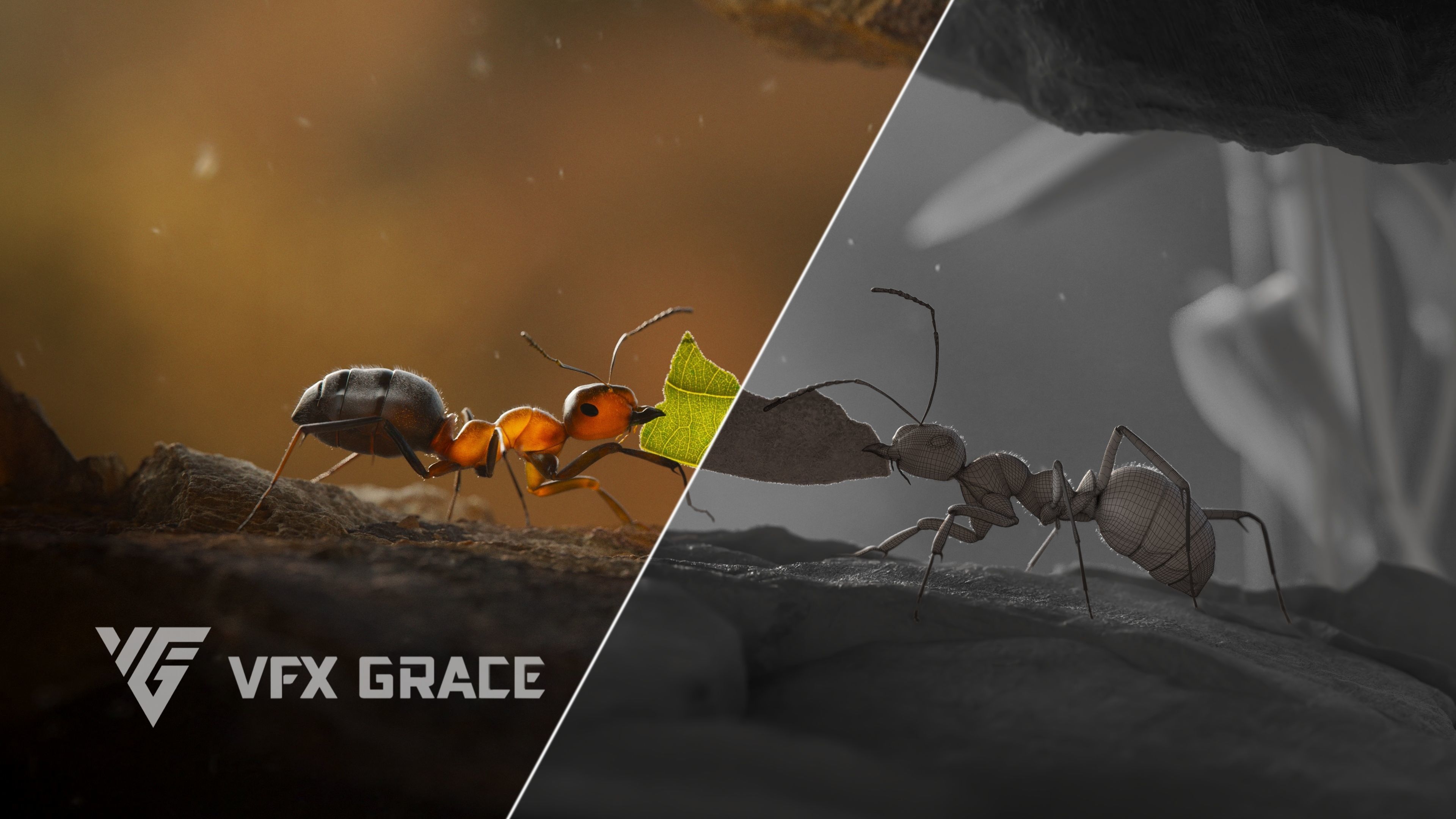 Carpenter Ant Animation VFX Grace 3D model_5