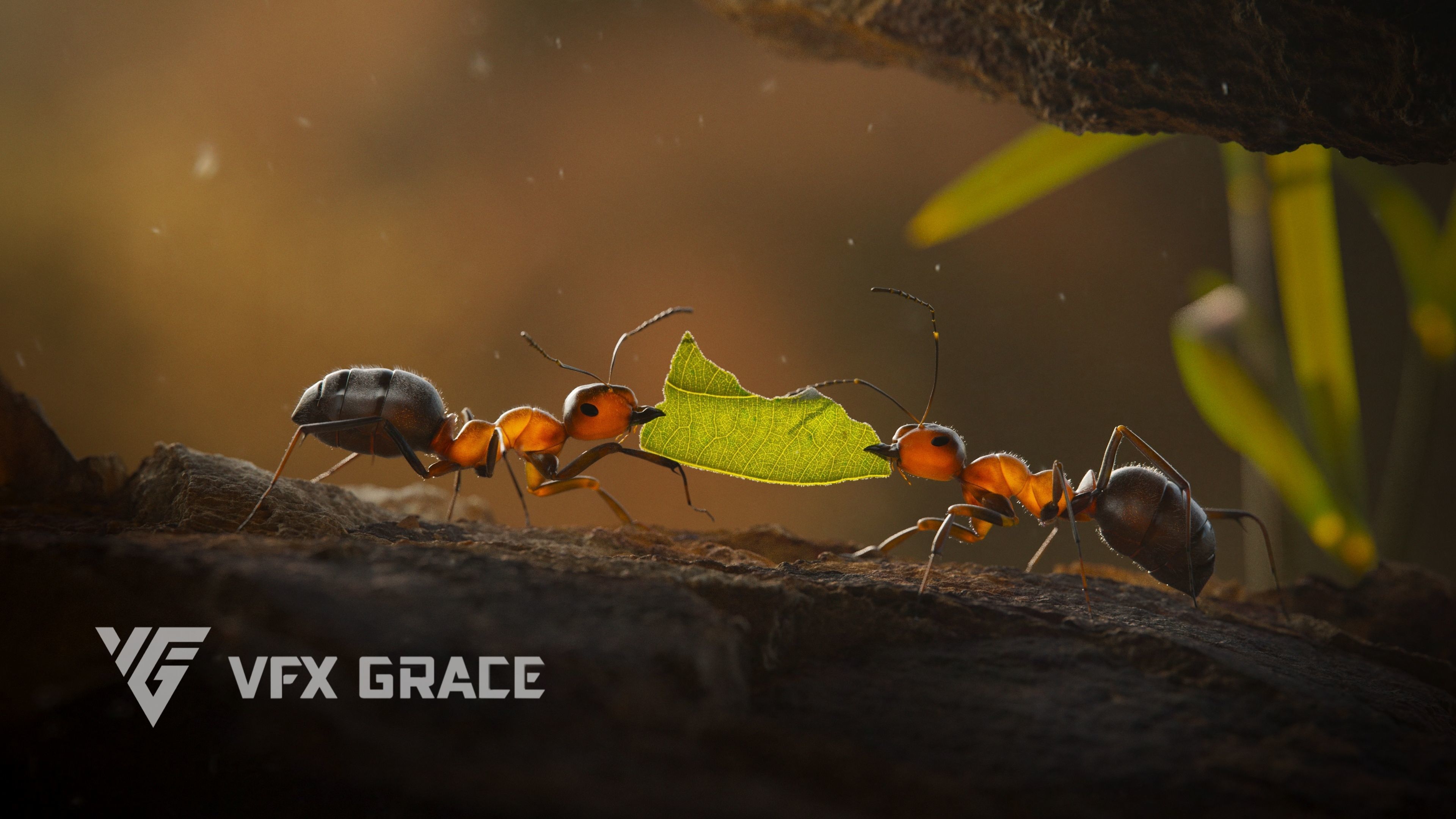 Carpenter Ant Animation VFX Grace 3D model_4