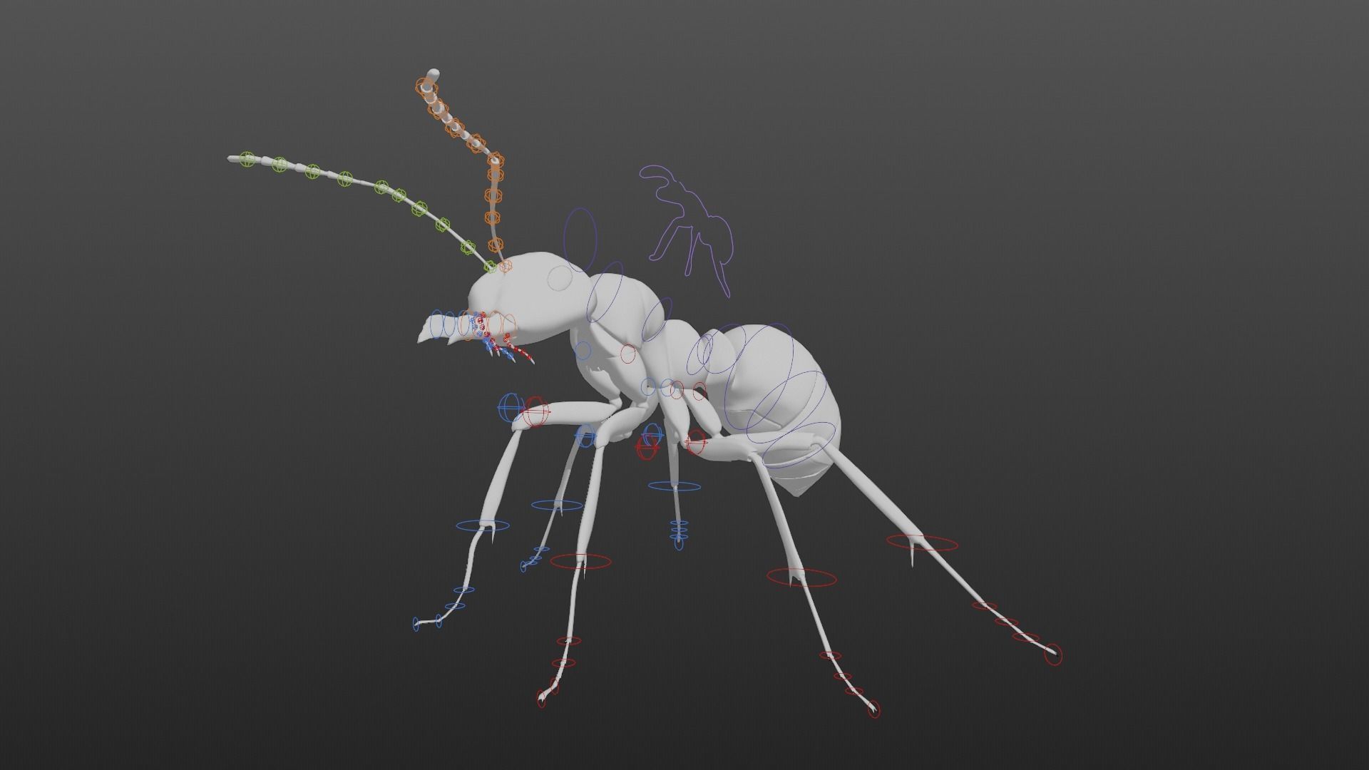 Carpenter Ant Animation VFX Grace 3D model_15