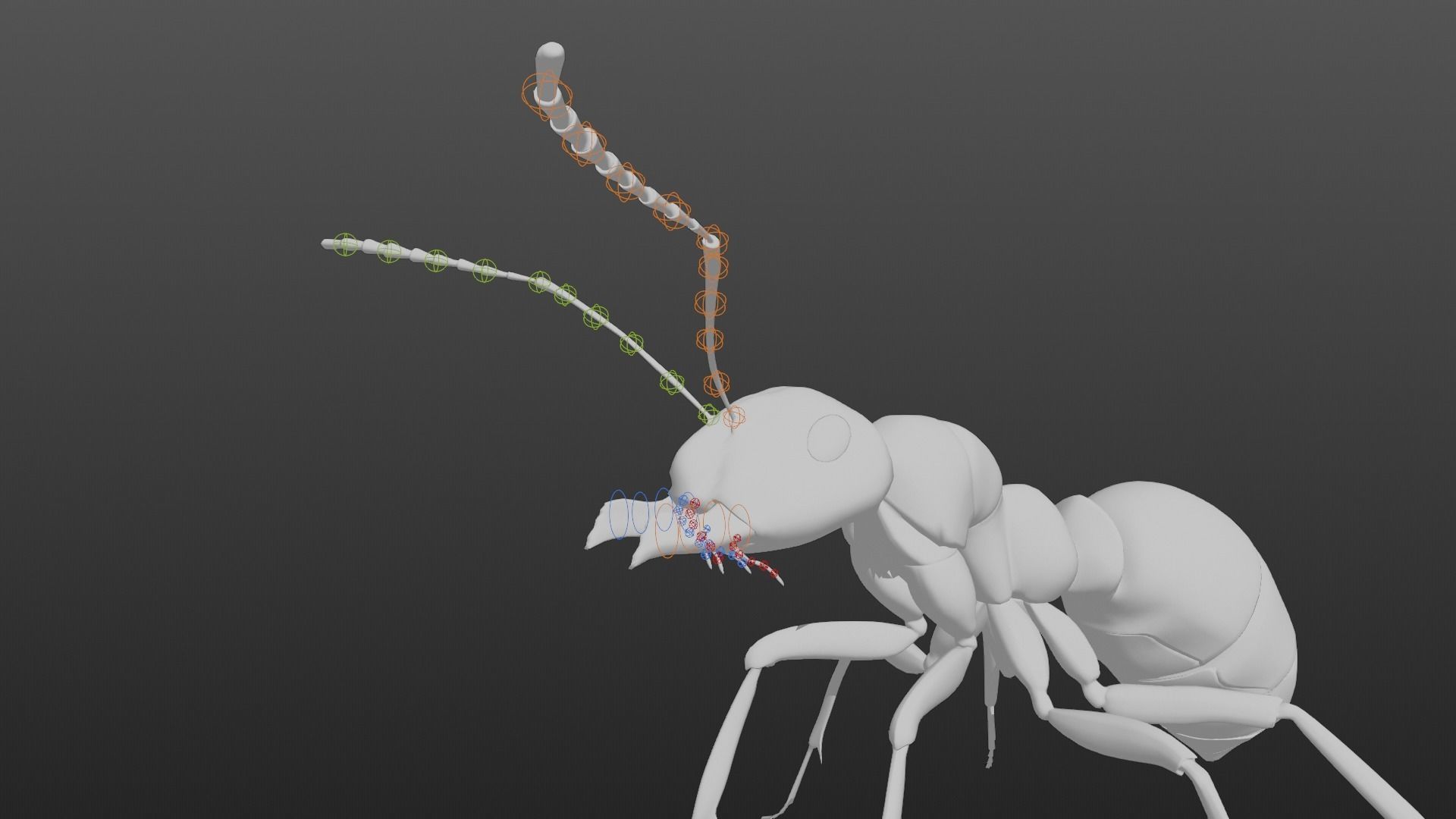 Carpenter Ant Animation VFX Grace 3D model_16