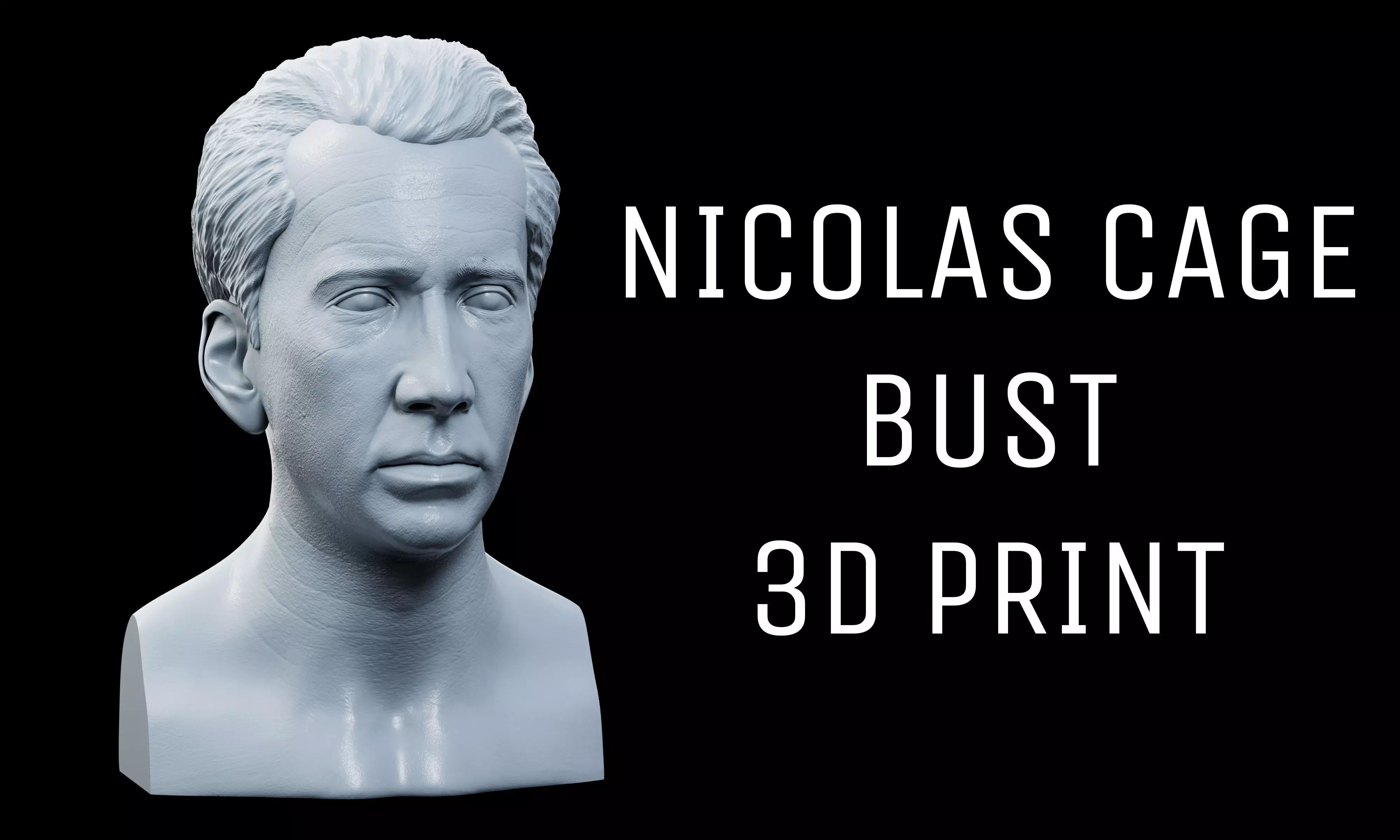 Nicolas Cage Bust 3D print model_0