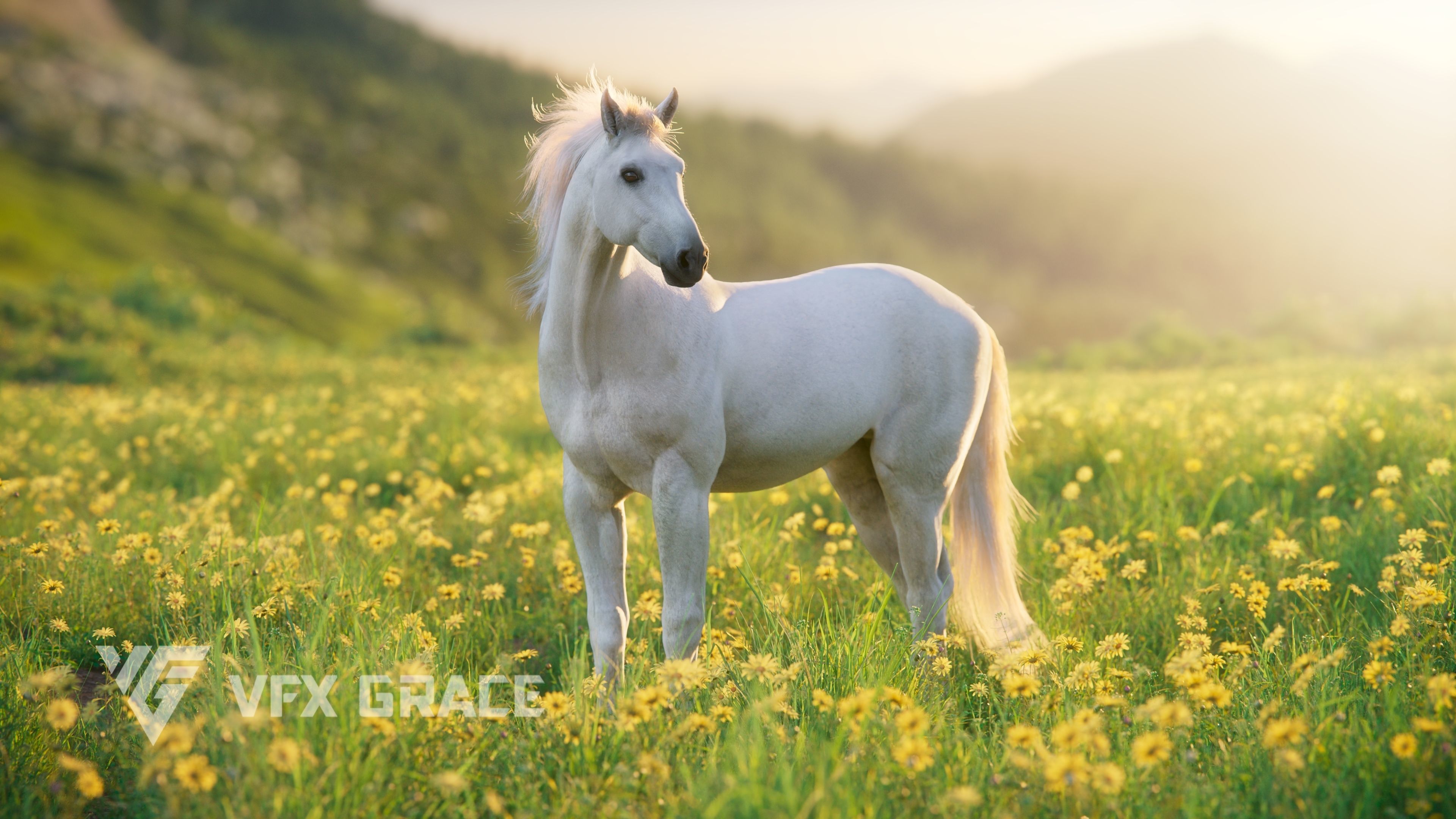 White Horse Animation VFX Grace 3D model_5