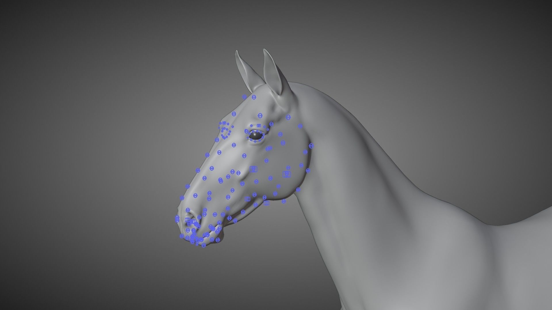 White Horse Animation VFX Grace 3D model_18