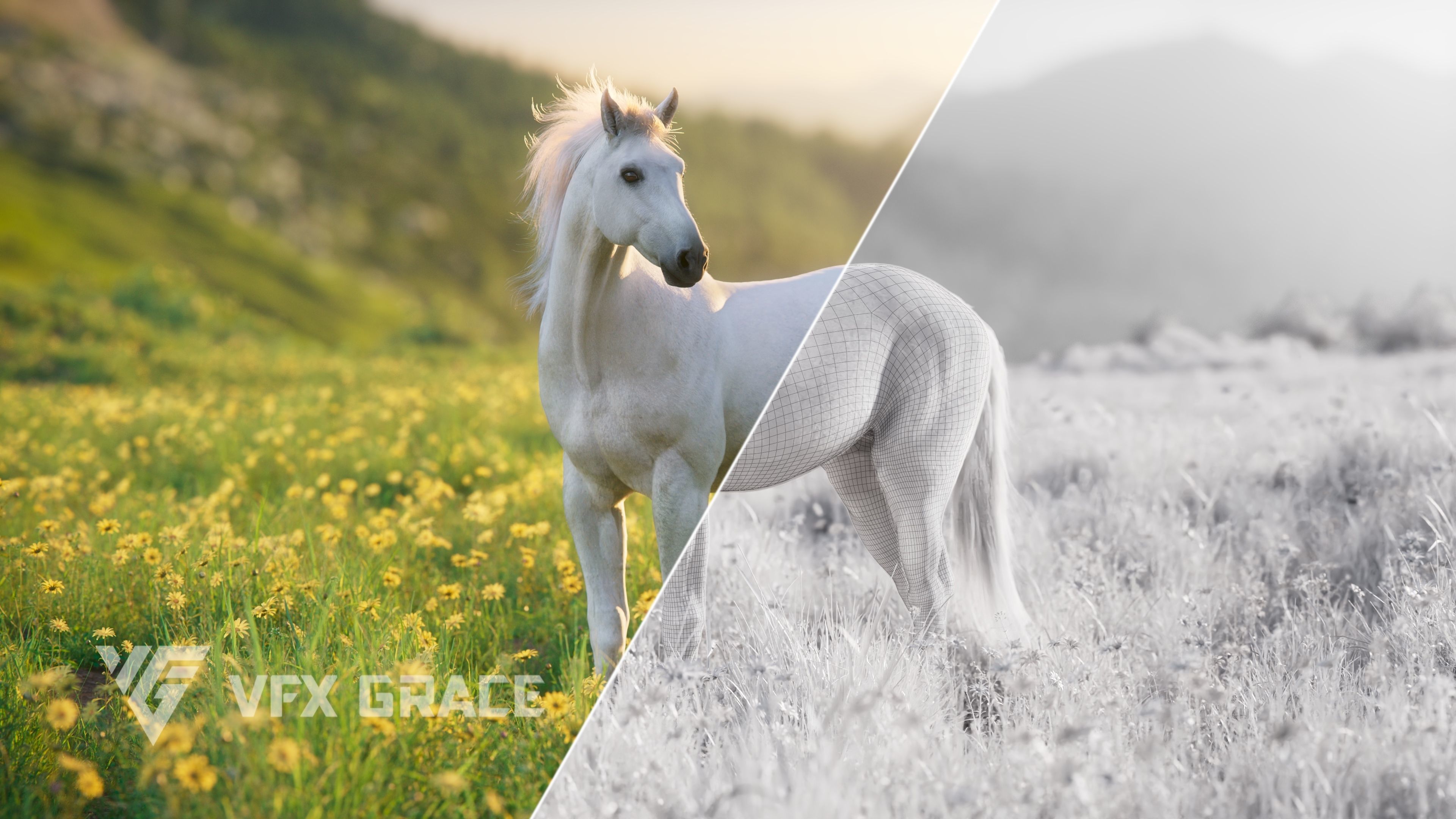 White Horse Animation VFX Grace 3D model_6