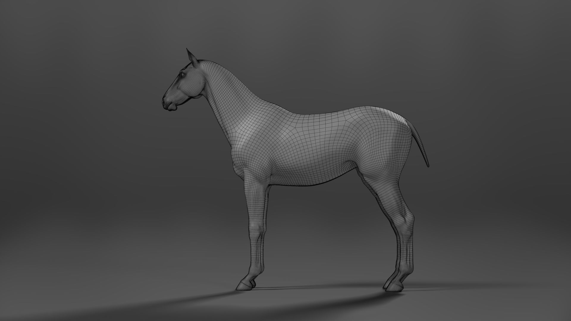White Horse Animation VFX Grace 3D model_16