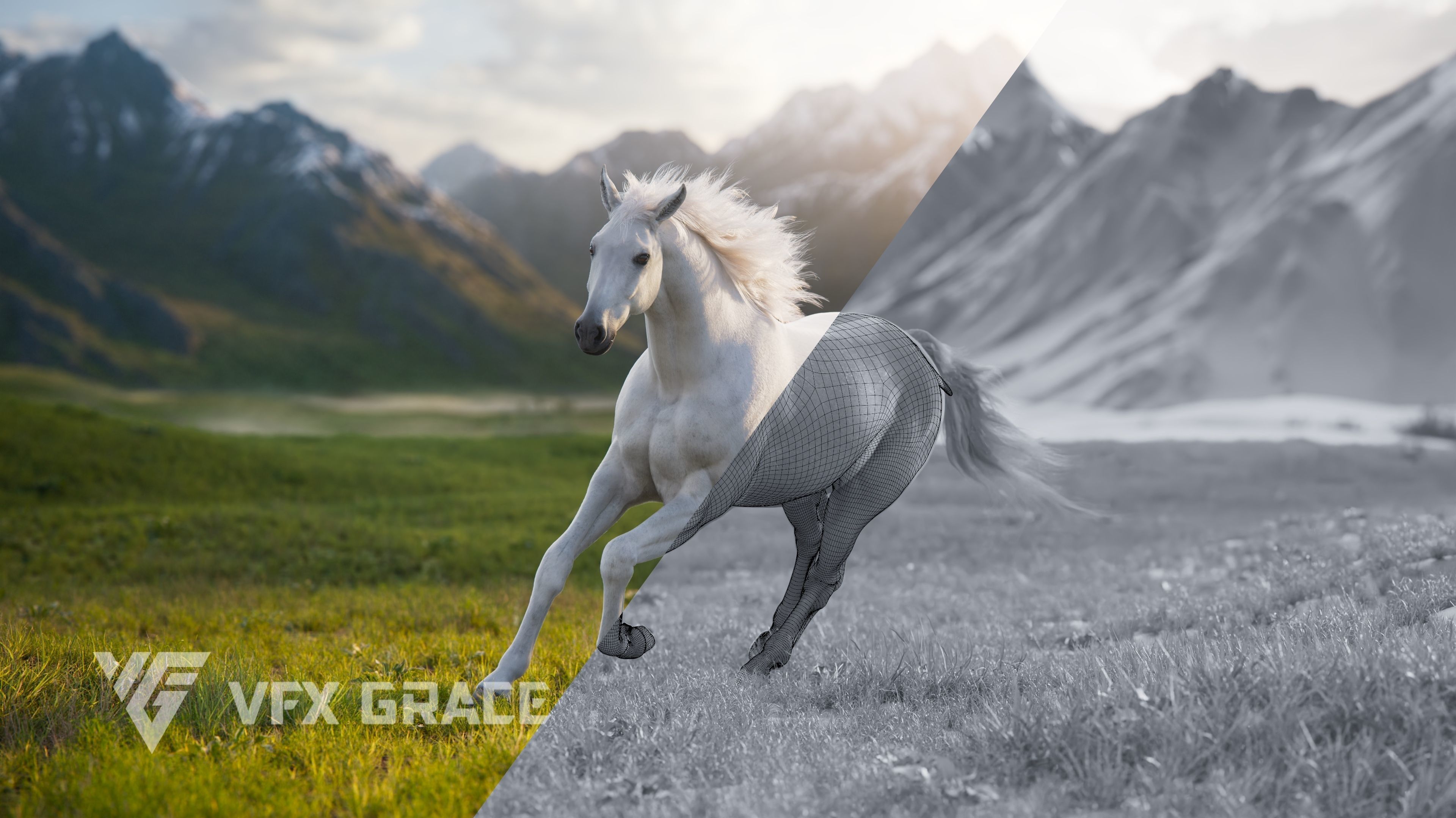 White Horse Animation VFX Grace 3D model_4