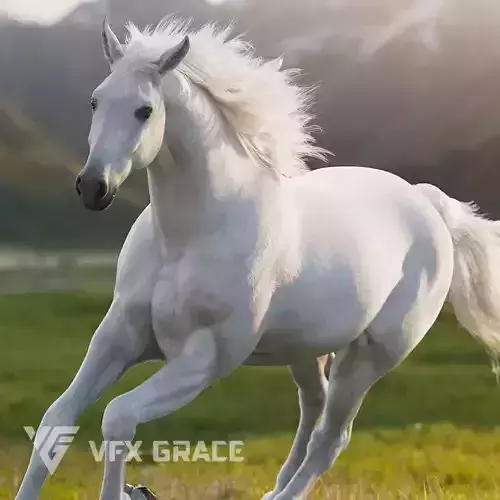 White Horse Animation VFX Grace 3D model