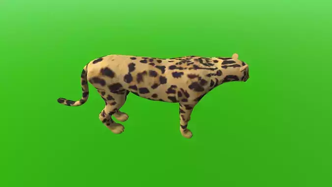 Tiger Like Cheetah 3D model
