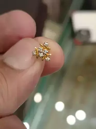 Nose Pircing 3D Print Model