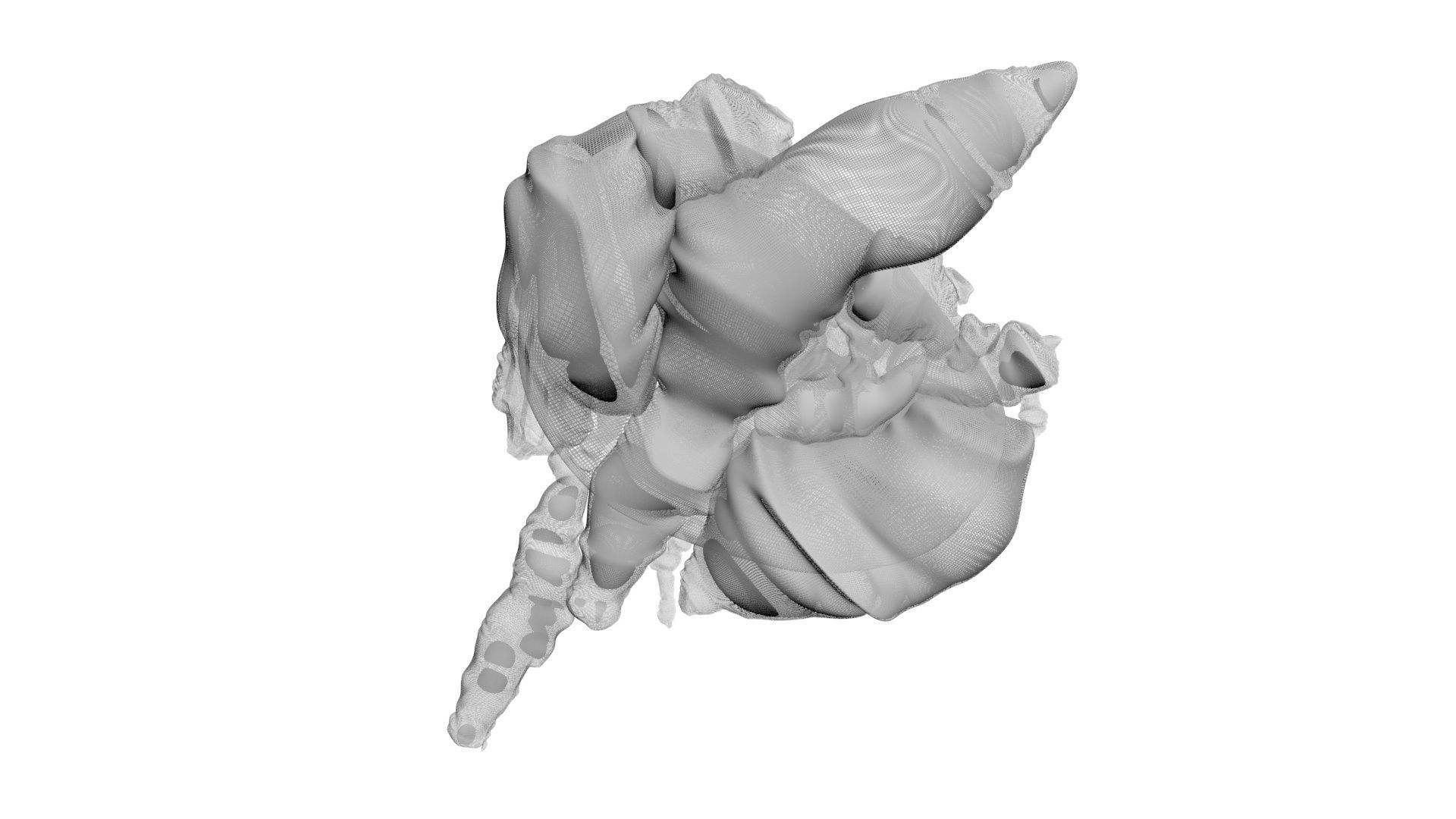 Chicken Lungs 3D model_18