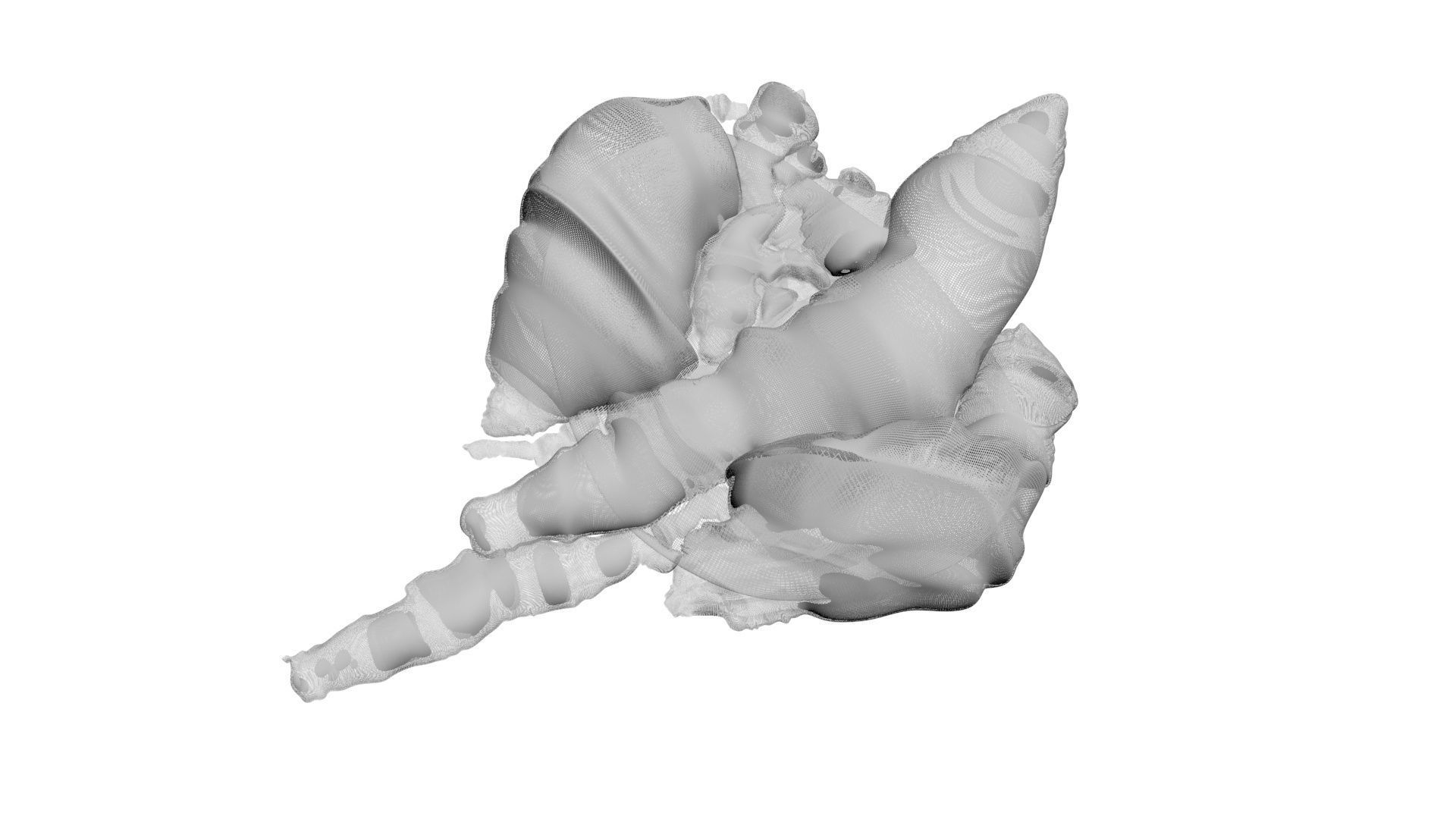 Chicken Lungs 3D model_17