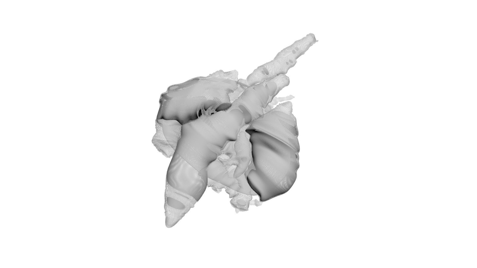 Chicken Lungs 3D model_15