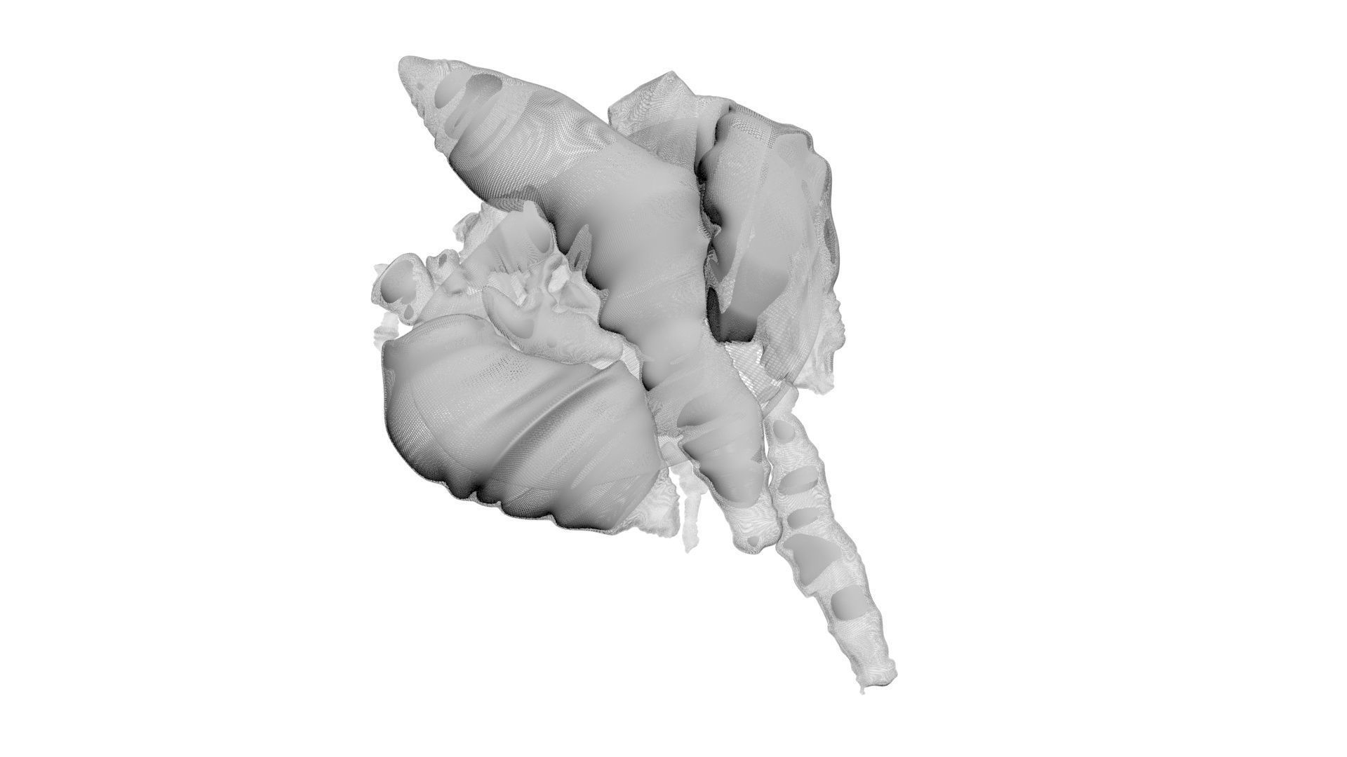 Chicken Lungs 3D model_16