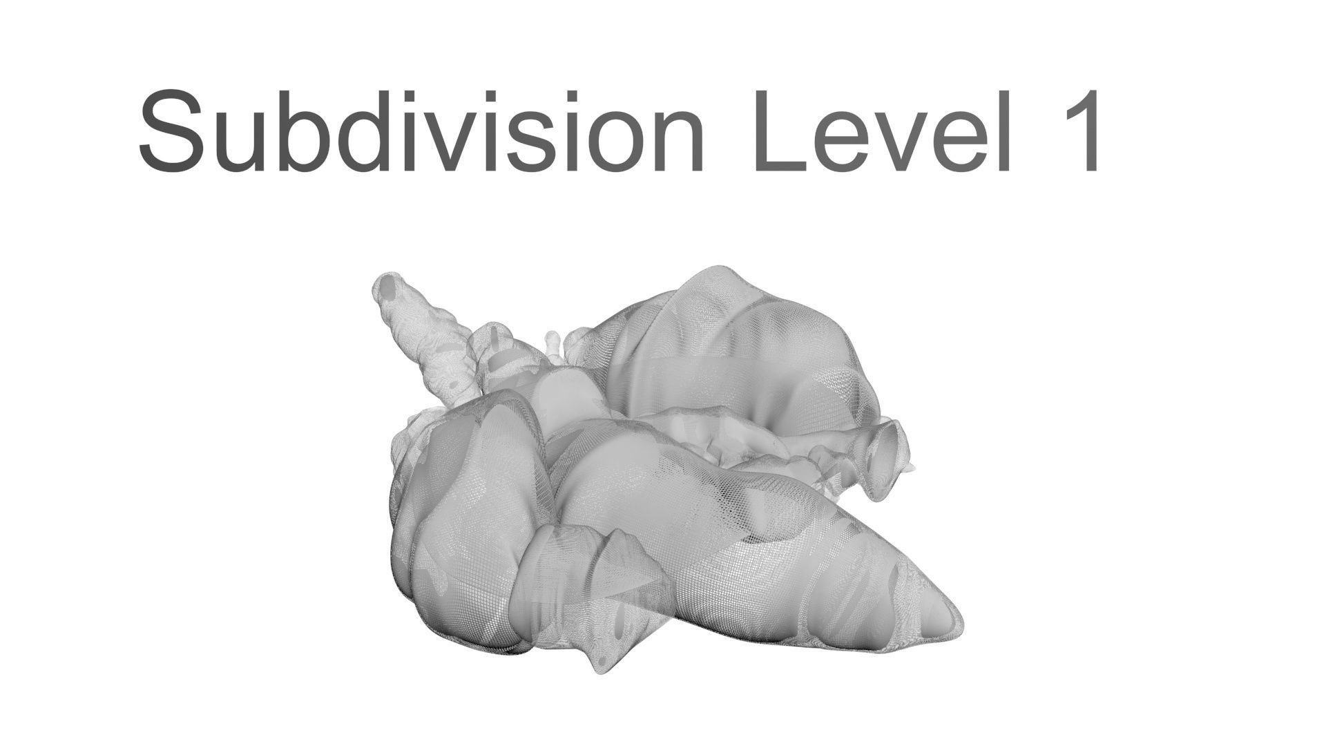 Chicken Lungs 3D model_20