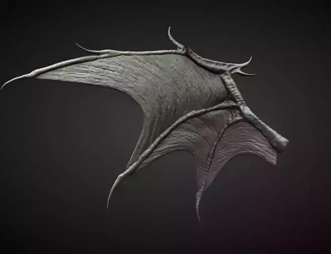WING27 high poly sculpt