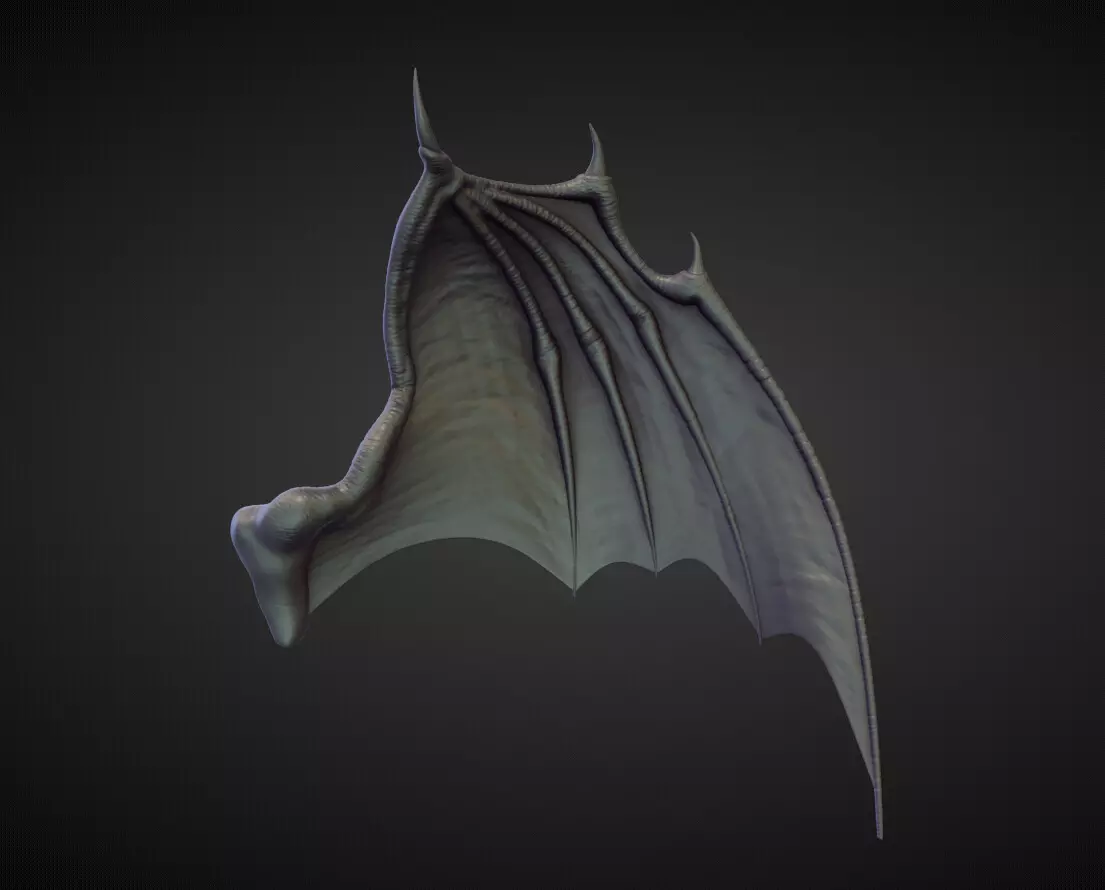 WING29 high poly sculpt 3D model_0
